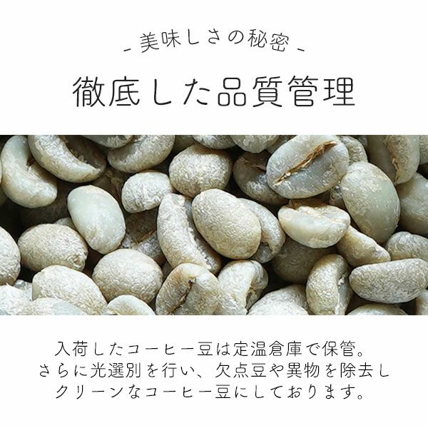 スペシャルティコーヒー豆5種飲み比べセット B1kg（200g×5袋）送料無料