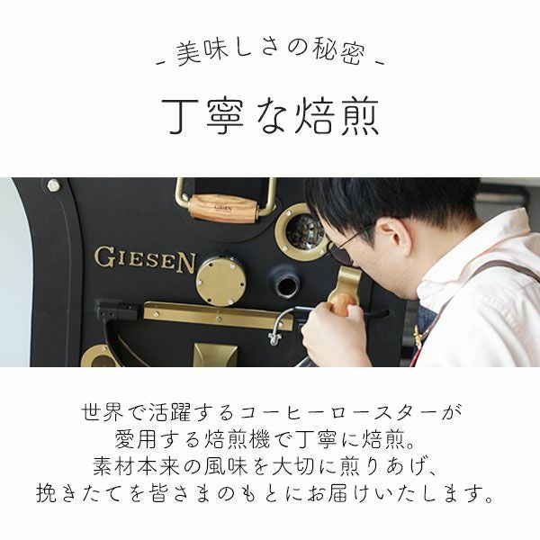スペシャルティコーヒー豆5種飲み比べセット B1kg（200g×5袋）送料無料