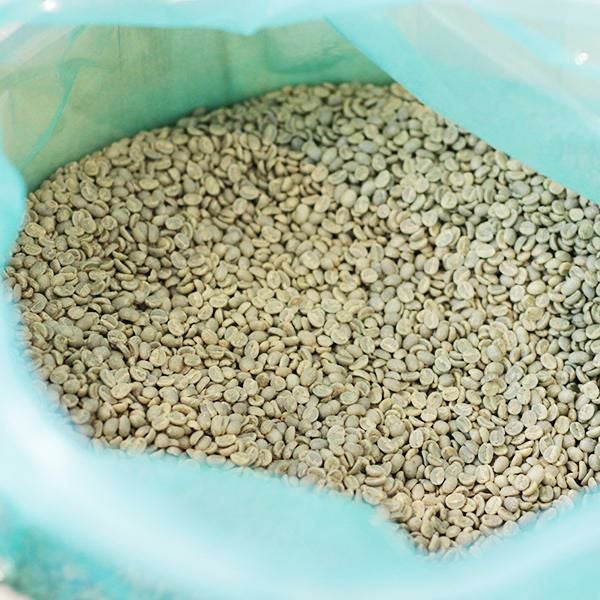 コーヒー生豆ブルーマウンテンNO.1 クライスデール 500g | TSUJIMOTOcoffee