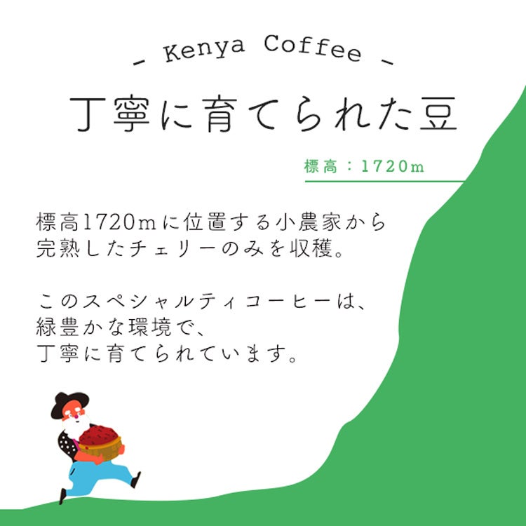 グルメドリップコーヒーマンボビピ / ケニア ガタイシコーヒー
