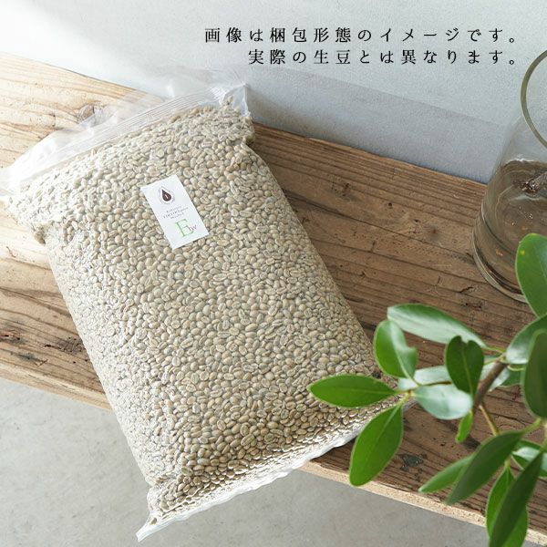 スペシャルティコーヒー生豆インドネシア グラン・ブルー 5kgVP