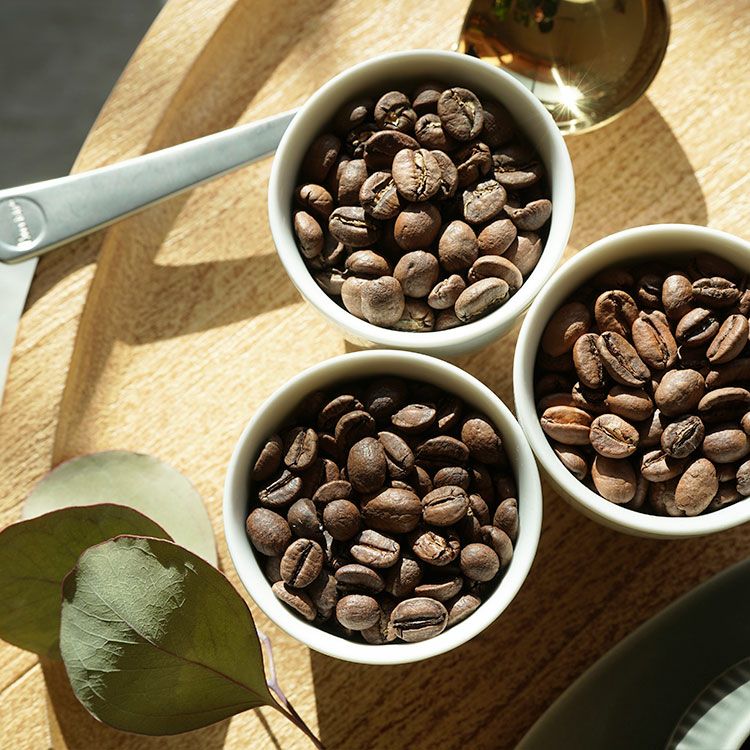 スペシャルティーコーヒー豆・粉 3種600g変わり種3種飲み比べセット