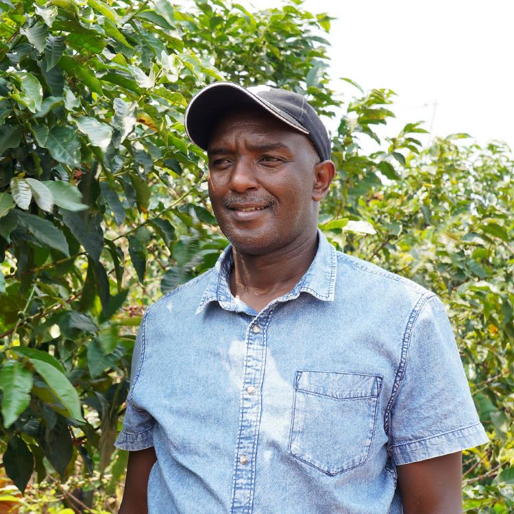 スペシャルティコーヒー豆ルワンダ ガコ農園 1kg（200g×5袋）ブルボン