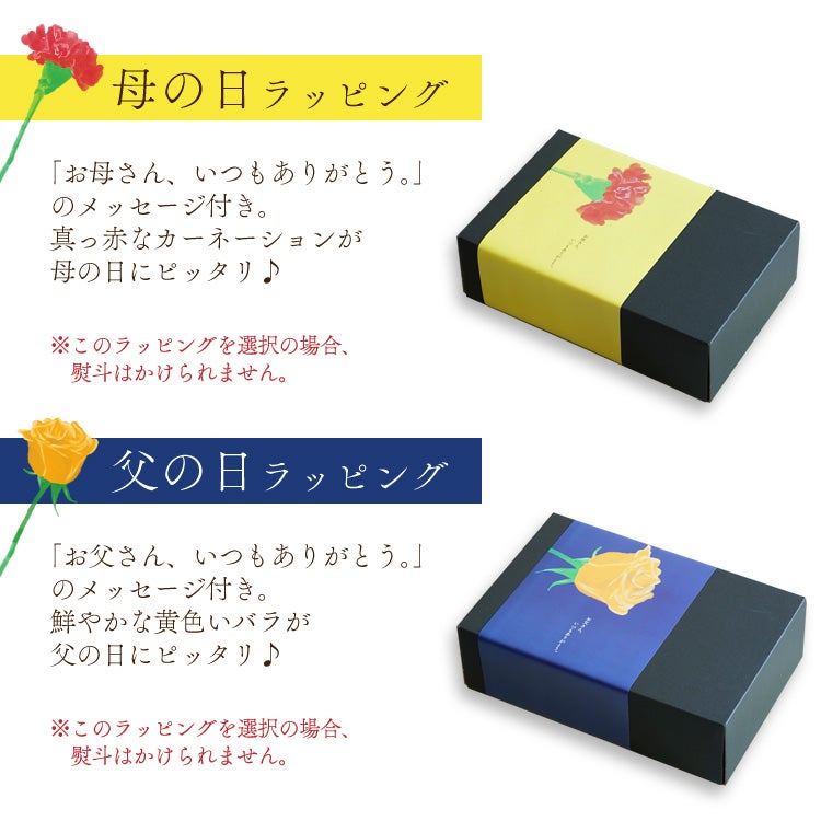 Riii01913　ナターシャズコーヒーセット コーヒーメーカー ニンジャ ホット＆コールドブリュー ティーメーカー