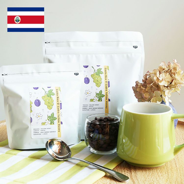 スペシャルティコーヒー豆・粉コスタリカ エル・セドロ農園（100g