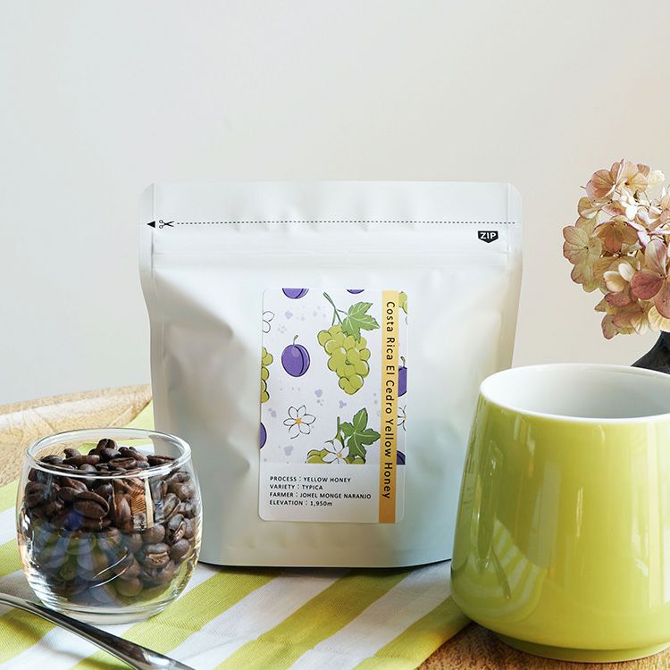 スペシャルティコーヒー豆・粉コスタリカ エル・セドロ農園（100g