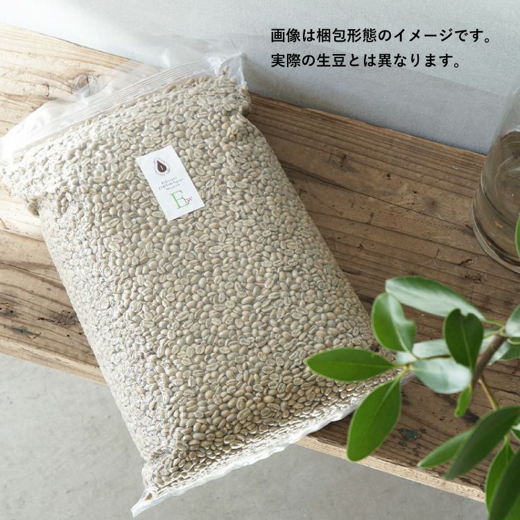 スペシャルティコーヒー生豆ホンジュラス SHG クラシック・マルカラ