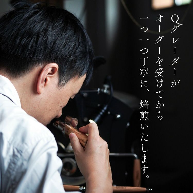 数量限定】グランクリュコーヒー豆ギフトグァテマラ ラ・グラン