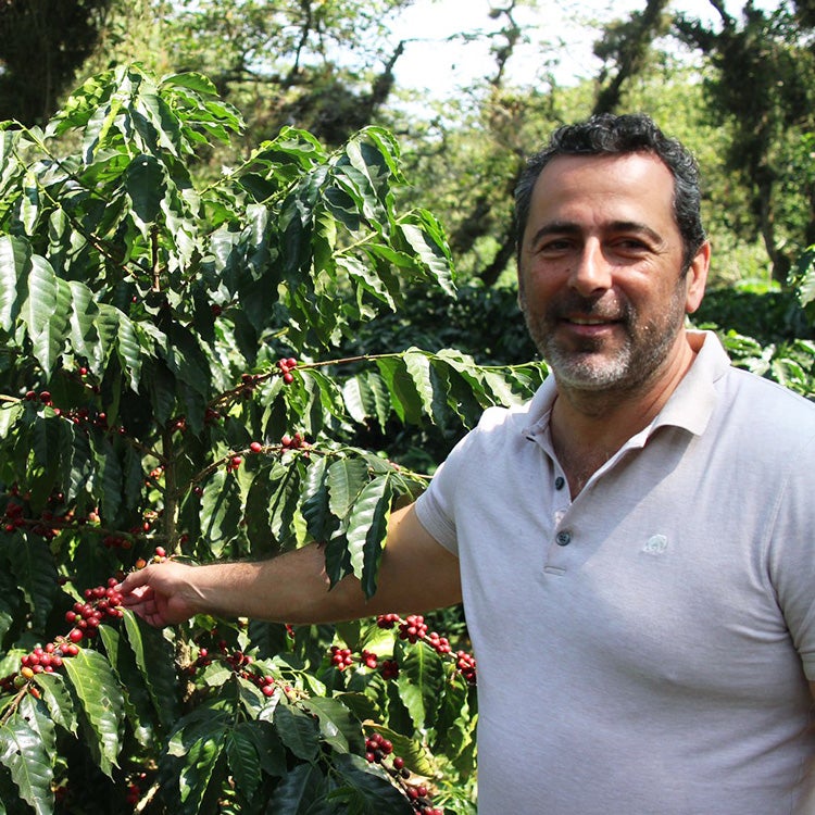スペシャルティコーヒー豆・粉メキシコ サン アルフォンソ農園（1.5kg