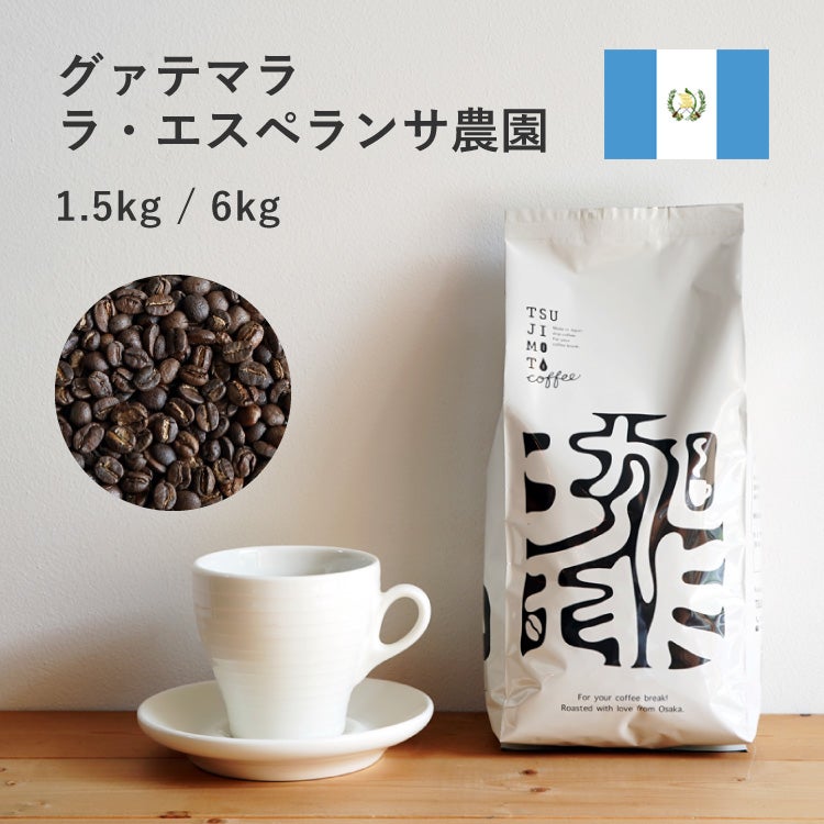 藤3　グアテマラ SHB ウォッシュド スペシャルティコーヒー生豆 4kg スペシャルティコーヒー豆・粉グァテマラ ウエウエテナンゴ ラ