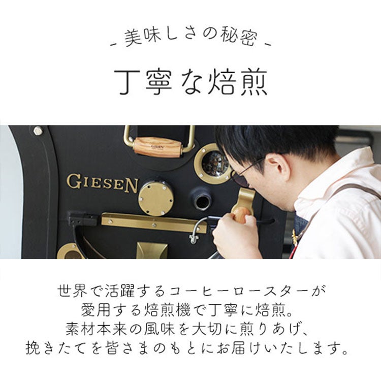 スペシャルティコーヒー豆・粉グァテマラ ウエウエテナンゴ ラ